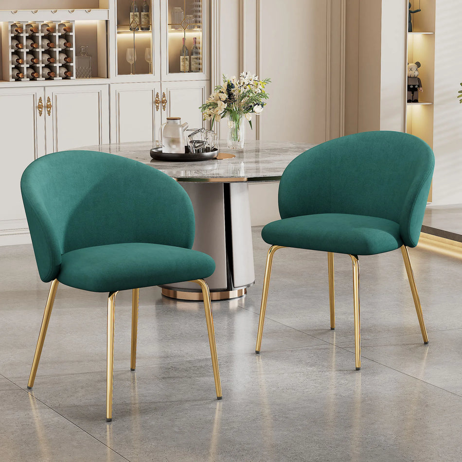 Two Velvet Dining Chairs With Armrests And Gold Legs