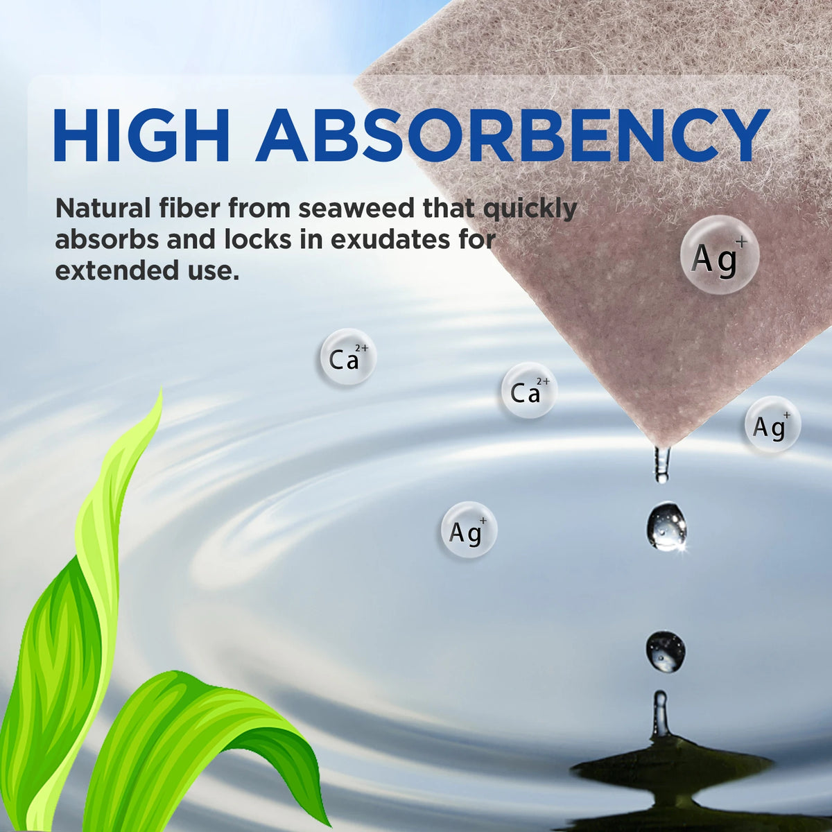 Silver Calcium Alginate Wound Dressing - Sterile Absorbent