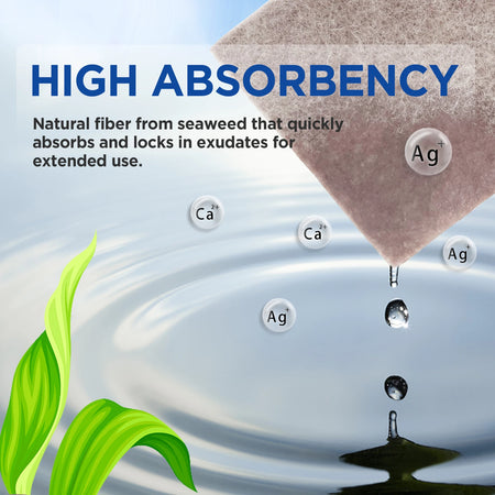 Silver Calcium Alginate Wound Dressing - Sterile Absorbent