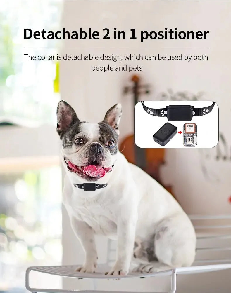 Waterproof Pet GPS Tracker P03 &ndash; Real Time Tracking