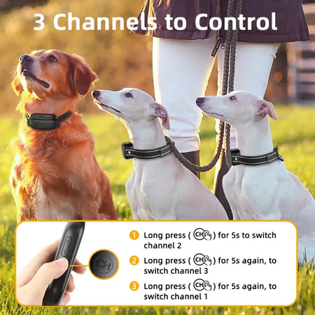 ROJECO Rechargeable Waterproof Dog Training Collar with Remote Control