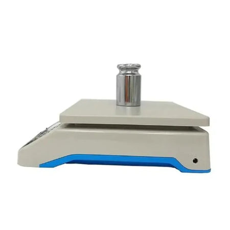 DT-580 Digital Postal Floor Scale &ndash; High Precision 1 g