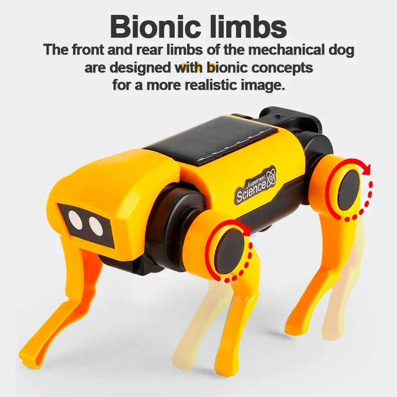 Solar Robot Dog Cat Science Experiment Kit &ndash; Solar Powered