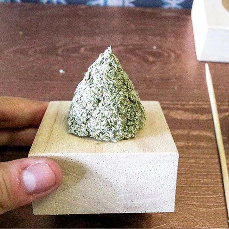 Moxibustion Tårn Træ Moxa Form Ren Malurt Terapi