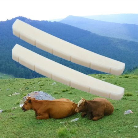 Miwayer Curved Bottom Bone Nut &ndash; Pre-Slotted Real Bone