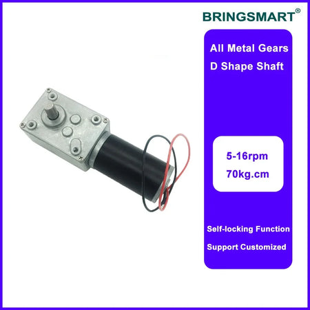 Bringsmart High Torque DC Gear Motor 12V/24V with Speed Controller 24V / 40rpm / Package B