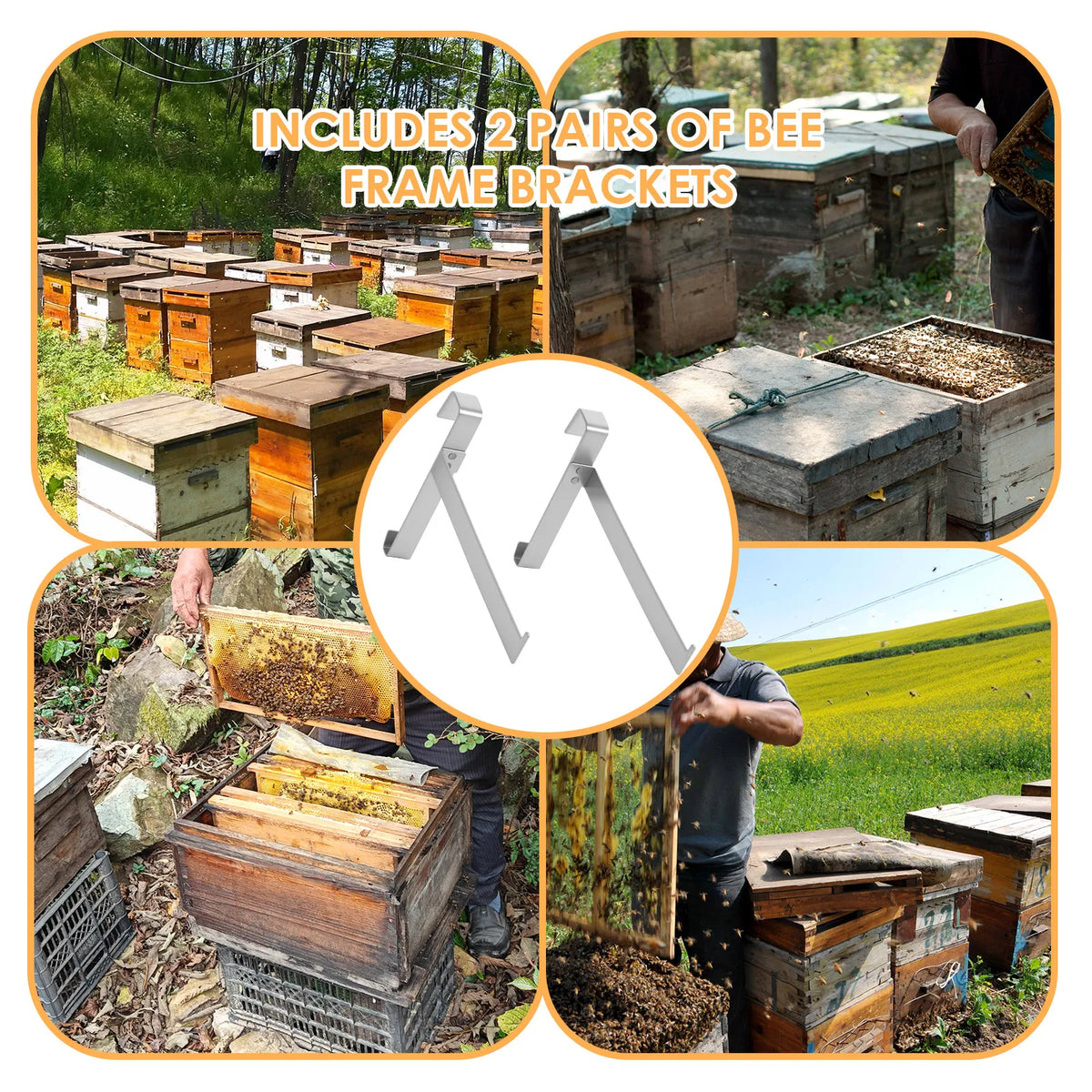 Stainless Steel Beehive Frame Holder &ndash; High Load Capacity