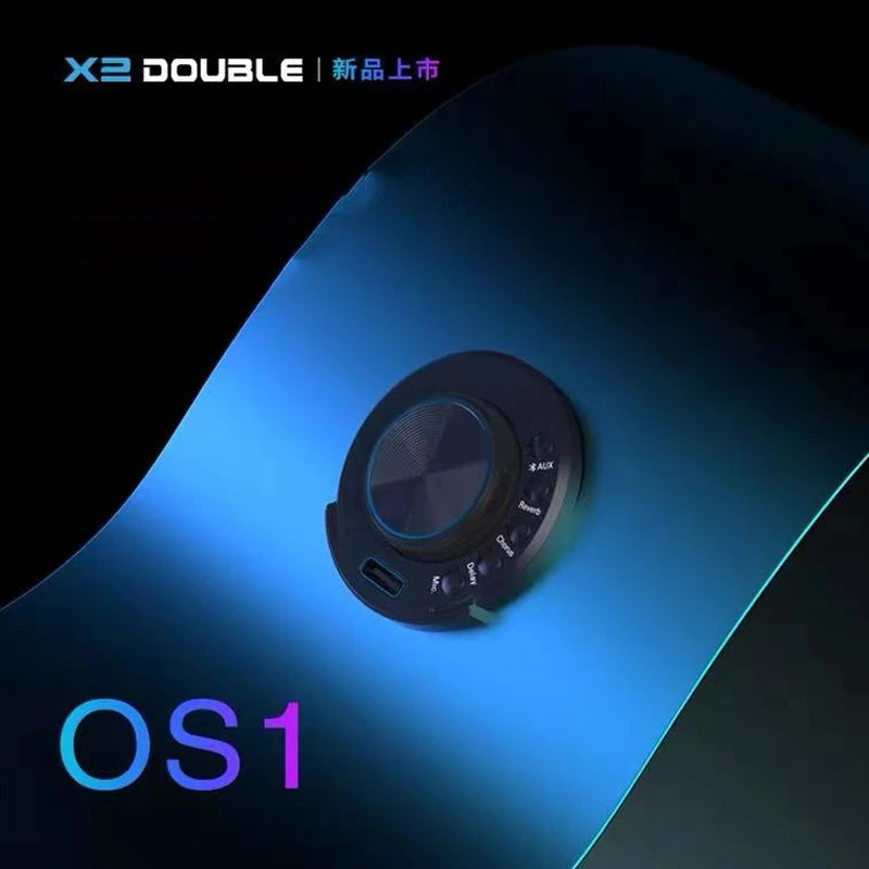 Double OS1 Acoustic Guitar Pickup &ndash; Chorus Delay Reverb