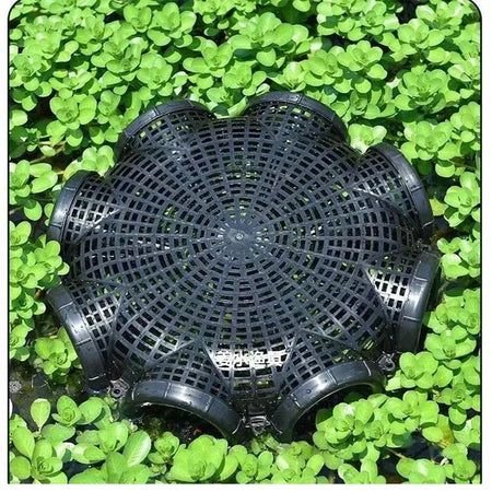 Durable Black Fish Net Cage for Eel and Loach Fishing - Plastic Trap Pot