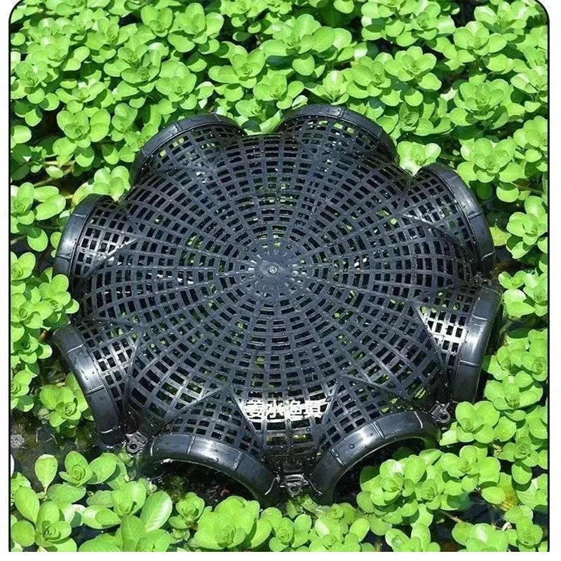 Durable Black Fish Net Cage for Eel and Loach Fishing - Plastic Trap Pot