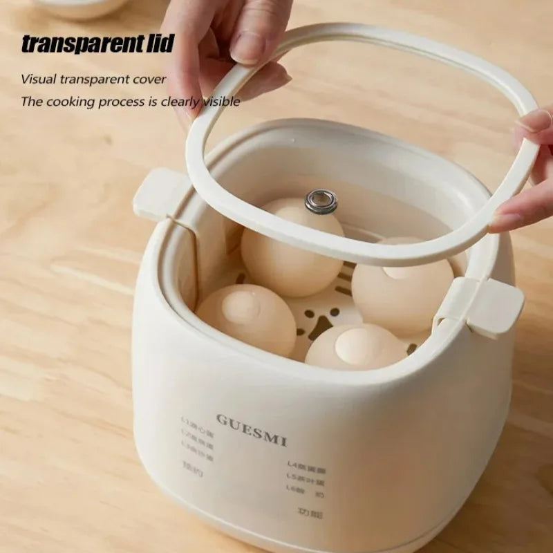 220V Electric Egg Boiler