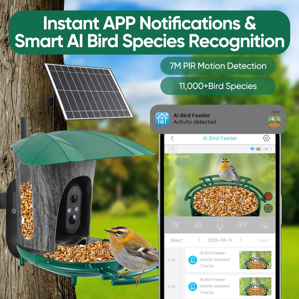 Hranilnica za ptice s kamero 3MP HD WiFi IP65 vodoodporna PIR