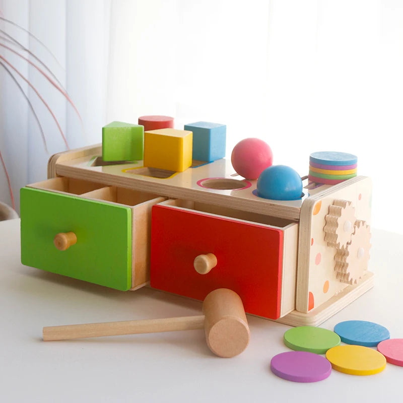 Montessori Wooden Sorting Toy For Kids With Color And Shape Matching Box