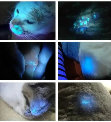 Woods Lamp Skin Examination - Pet Skin Ultraviolet Detector