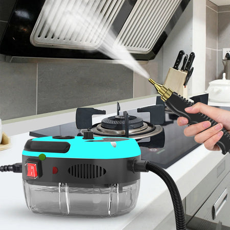 110V/220V High Pressure Handheld Steam Cleaner for Home &amp; Car