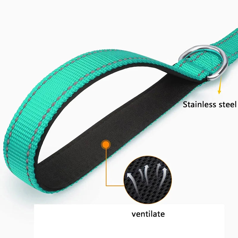 Durable Night Reflective Pet Leash and Harness for Dogs