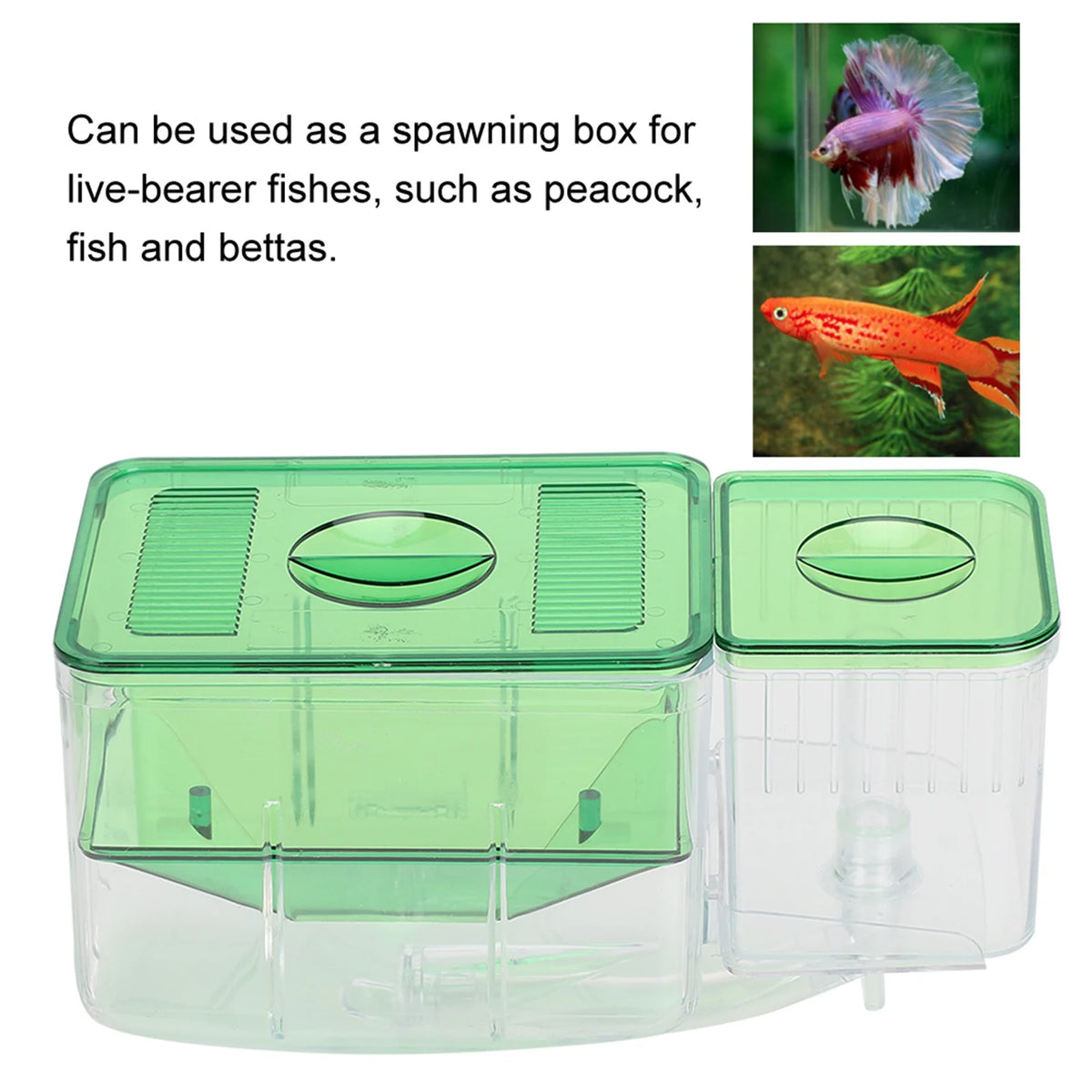 Aquarium Breeding Box Double Layer &ndash; Safe Newborn Isolation