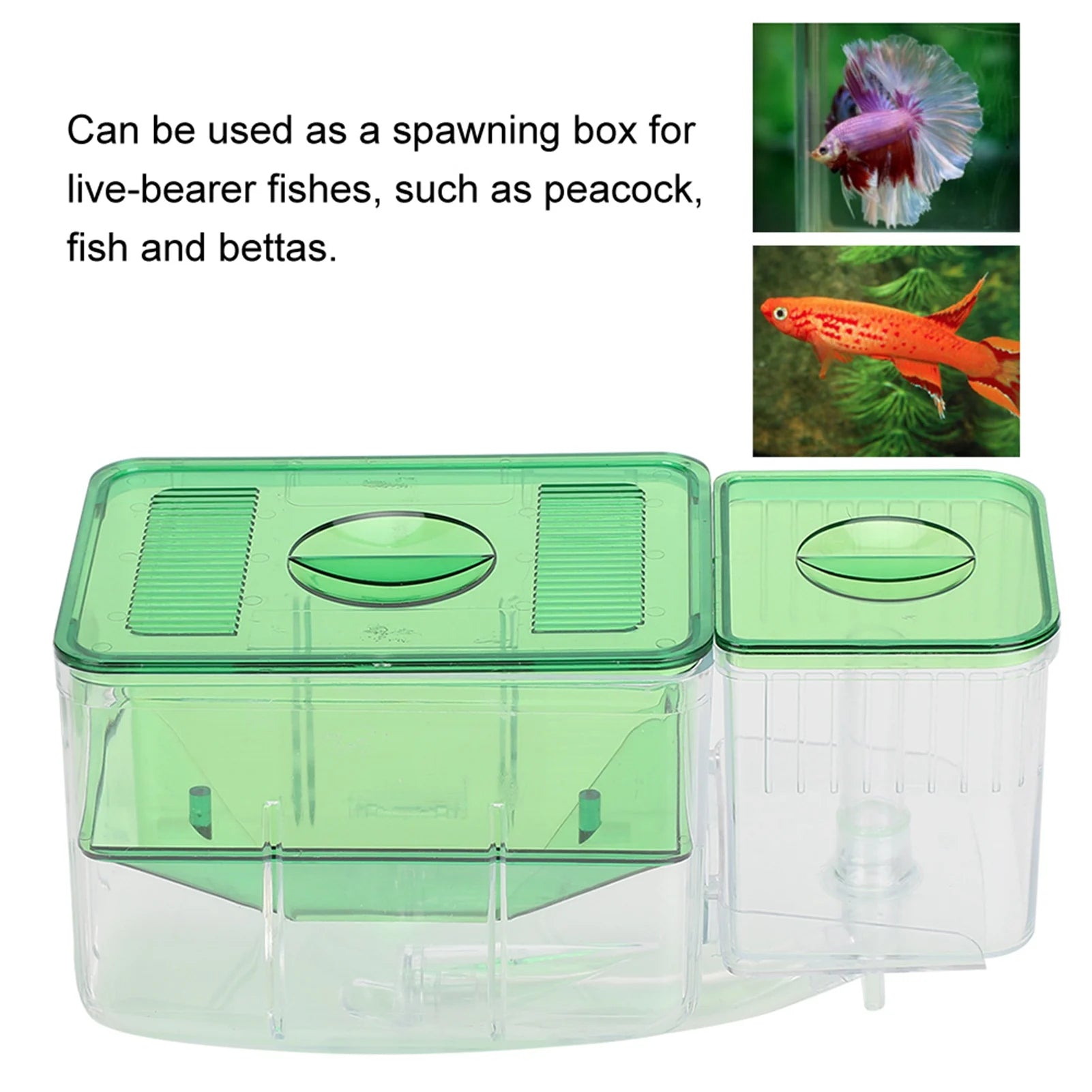 Aquarium Breeding Box Double Layer &ndash; Safe Newborn Isolation