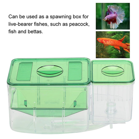 Aquarium Breeding Box Double Layer &ndash; Safe Newborn Isolation