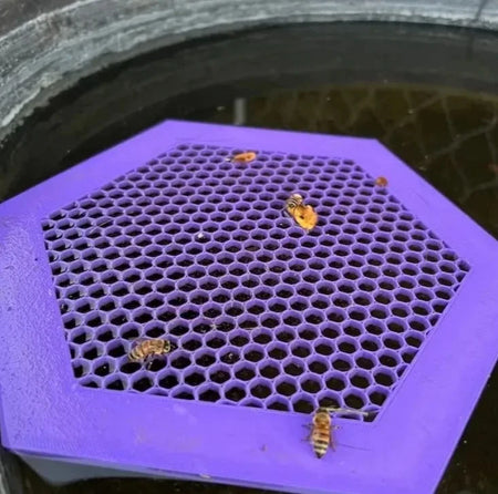 Floating Bee Island Waterer - Hexagonal Drinker Tray PURPLE / CHINA
