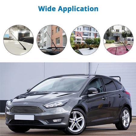 FISHBERG Car Roof Antenna &ndash; High-Quality FM AM Signal Boost