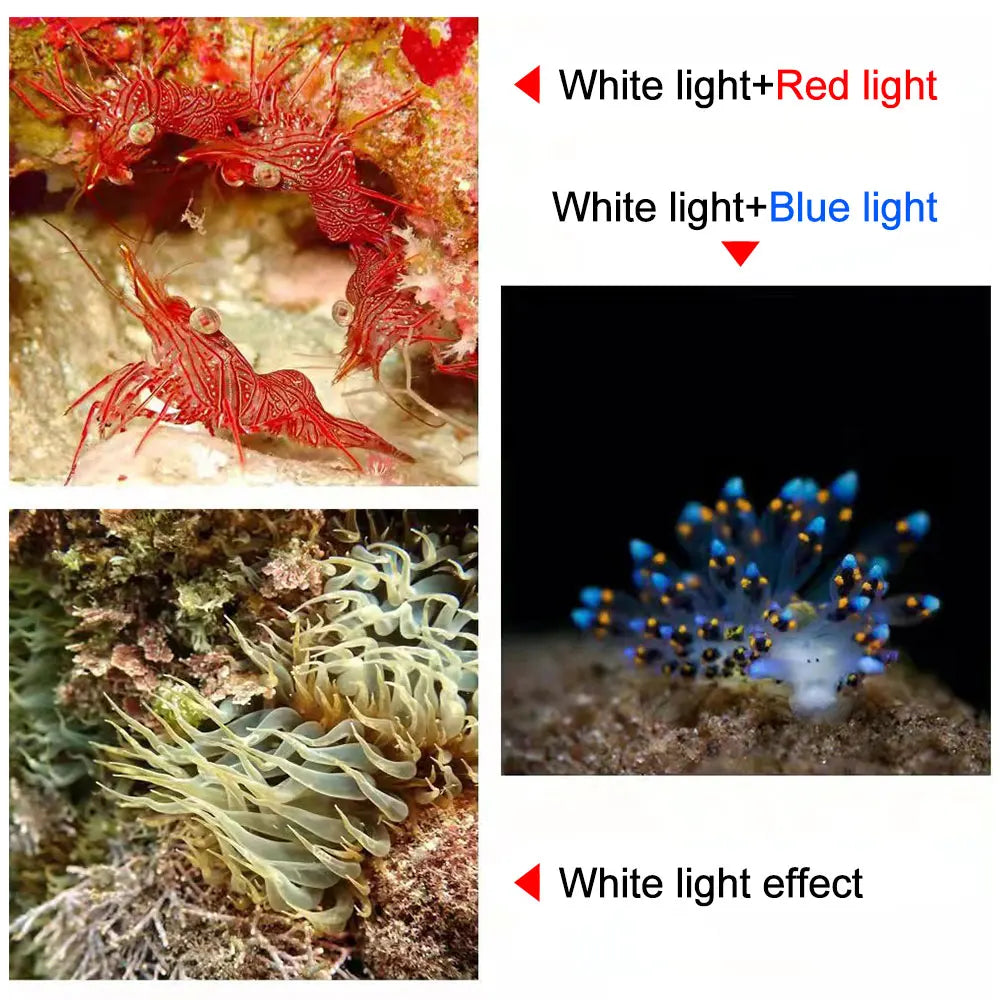 VASTFIRE Professional LED Diving Flashlight &ndash; 18000 Lumens Waterproof Illumination