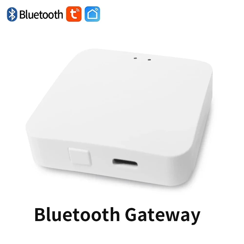 Smart Tuya Bluetooth Garden Water Timer - Alexa Compatible, Rain Delay, Automatic Irrigation Bluetooth gateway / CHINA / Bluetooth Version