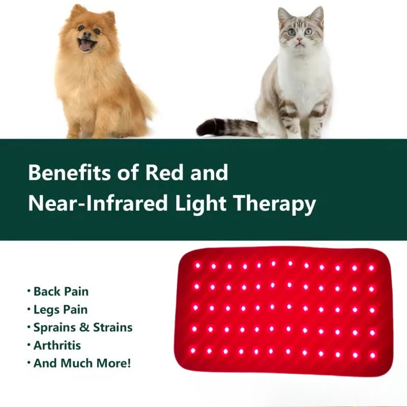 Pás pro červenou světelnou terapii pro zdraví reprodukčního systému a úlevu od bolesti