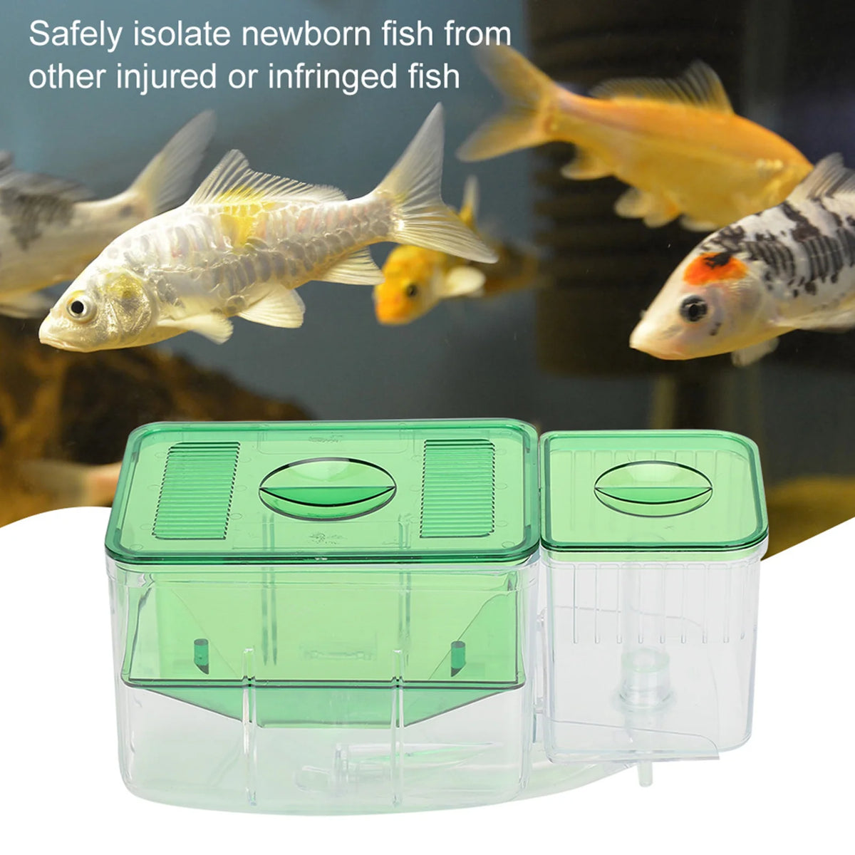Aquarium Breeding Box Double Layer &ndash; Safe Newborn Isolation