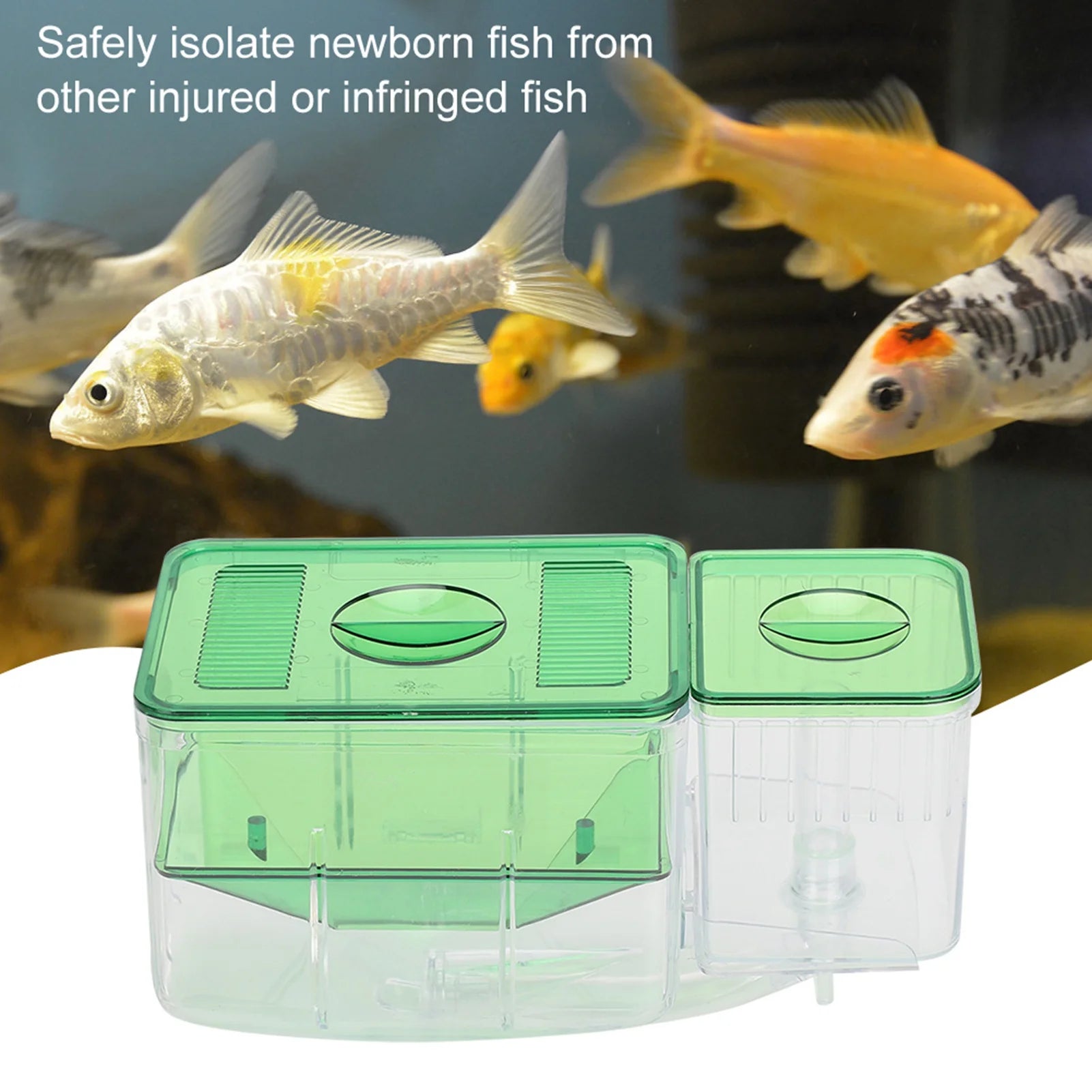 Aquarium Breeding Box Double Layer &ndash; Safe Newborn Isolation