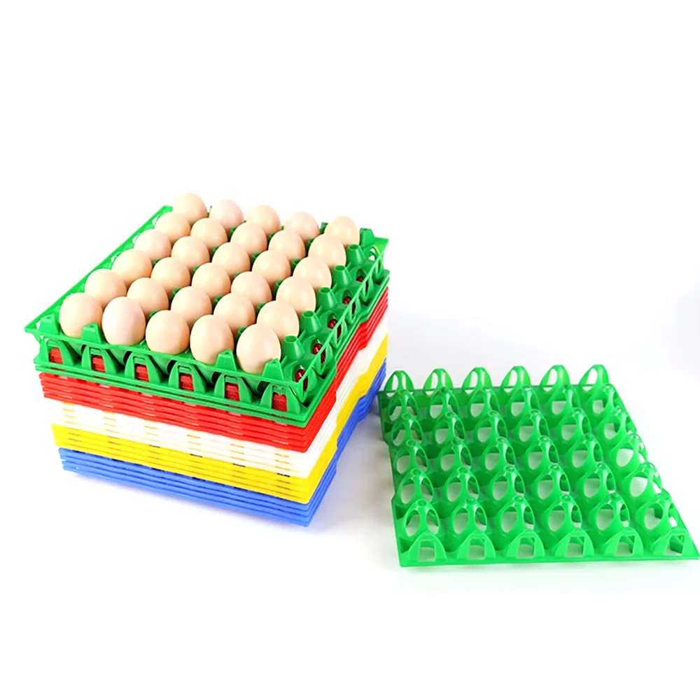 30 Holes Egg Crate Tray &ndash; Reusable Colorful Transport Tray