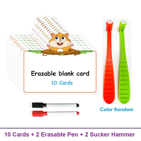 Dry Erasable Fly Cards for Kids - Educational &amp; Fun Learning Set Cards and Hammers