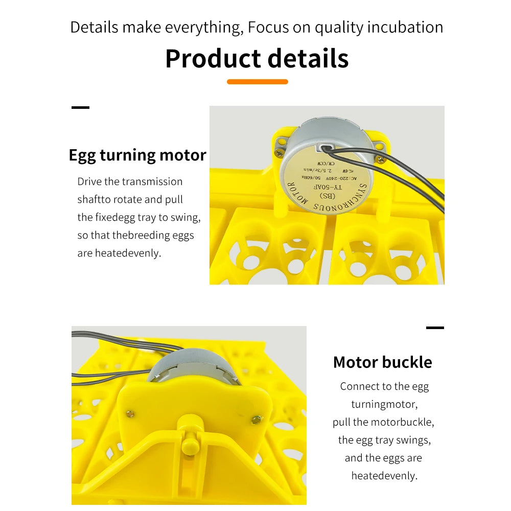 16/24 Eggs Incubator &ndash; Automatic Egg Turning for Efficient Hatching