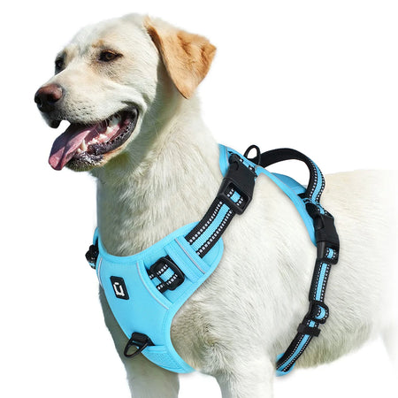 No Pull Dog Harness &ndash; Soft Padded Vest With Easy Control