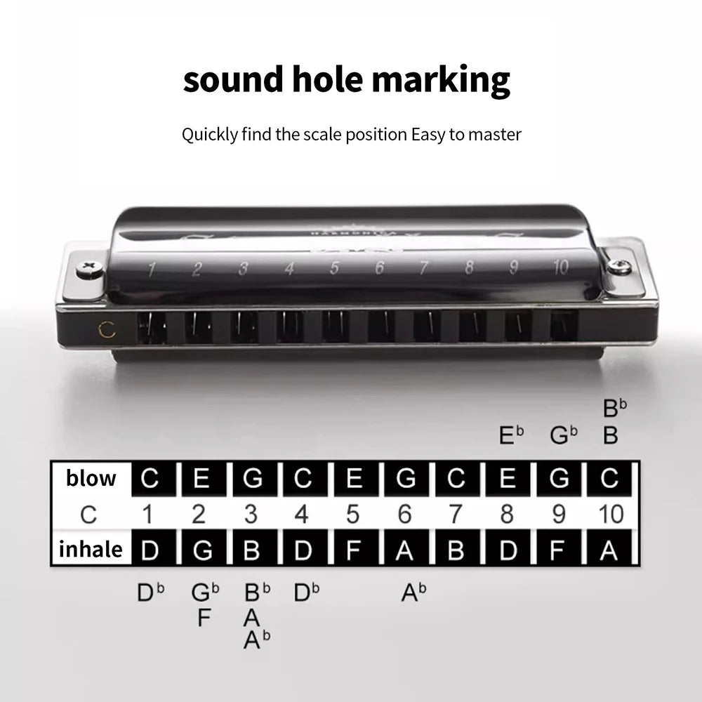 SWAN Blues Harmonica C Key 10 Holes &ndash; Ideal for Beginners