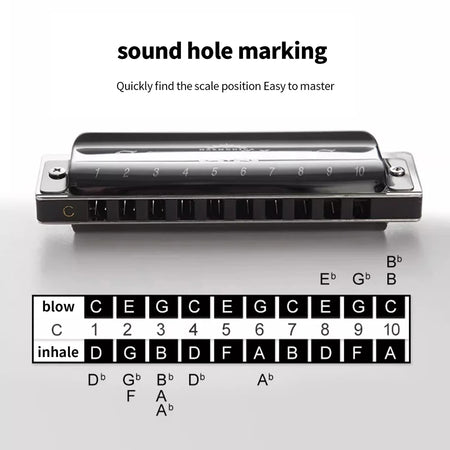 SWAN Blues Harmonica C Key 10 Holes &ndash; Ideal for Beginners