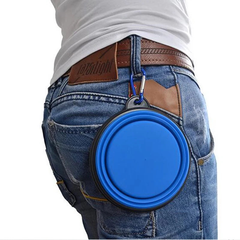 Portable Folding Silicone Dog and Cat Bowl with Carabiner