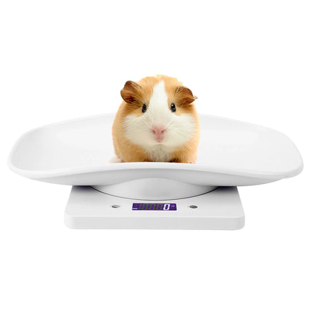 10kg 1g Digital Small Pet Weight Scale &ndash; 1g Precision