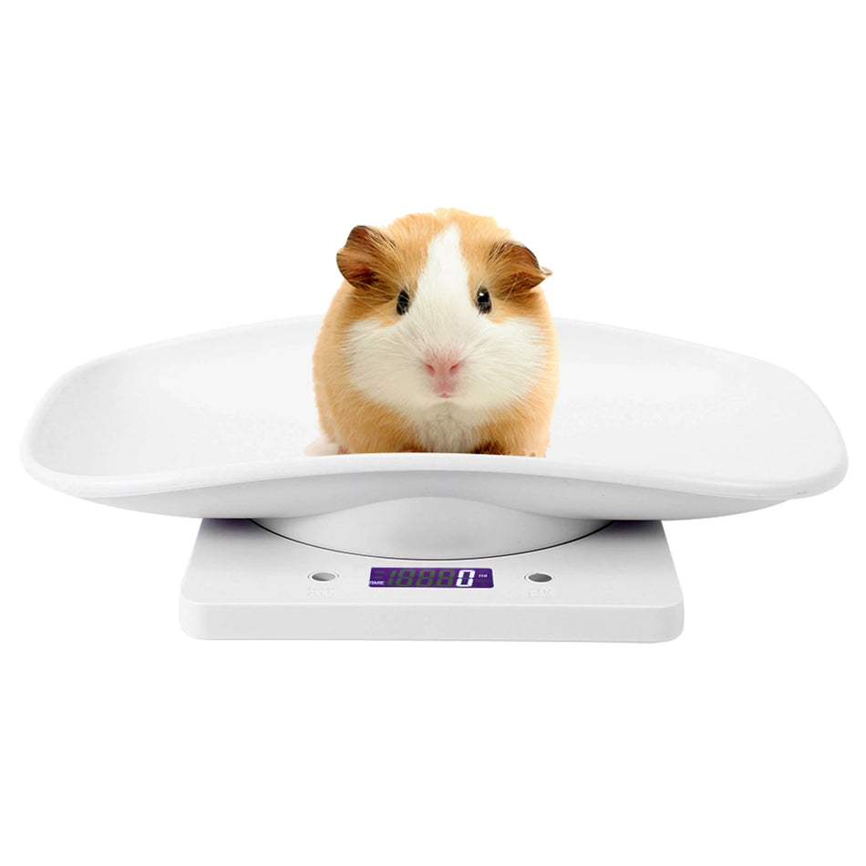 10kg 1g Digital Small Pet Weight Scale &ndash; 1g Precision