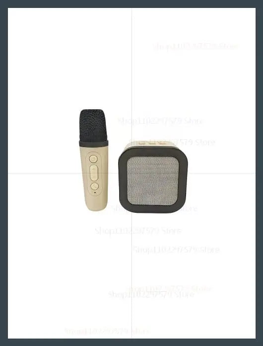 K12 Karaoke Microphone Set &ndash; Bluetooth 5.3 Wireless PA white single wheat