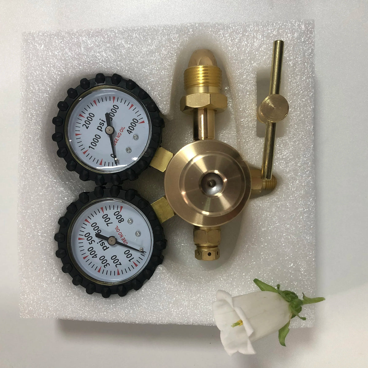 1/4 Brass Nitrogen Regulator 0-600 PSI CGA580 &ndash; Precise