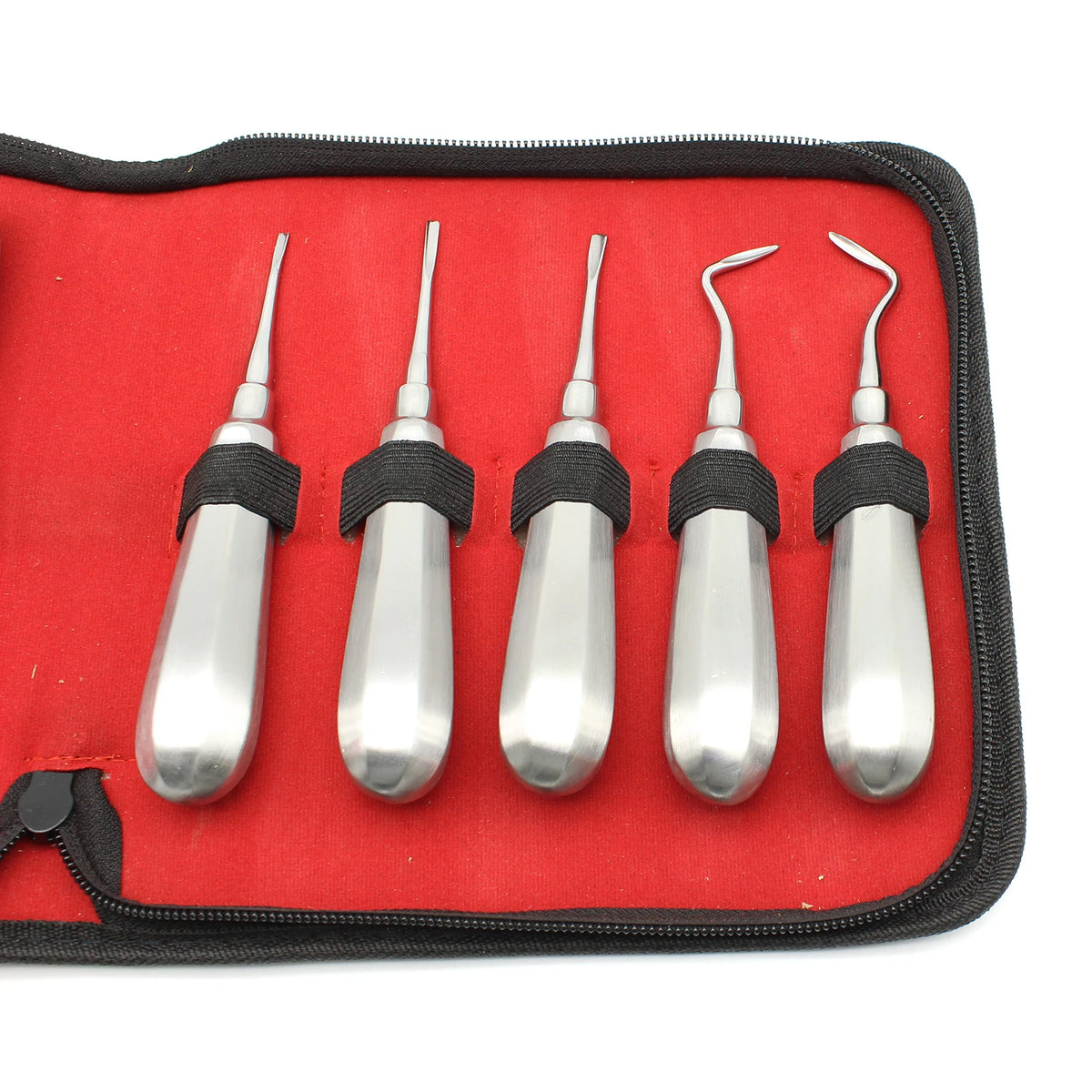 10pcs Dental Elevator Set &ndash; Stainless Steel Curved Root Lift
