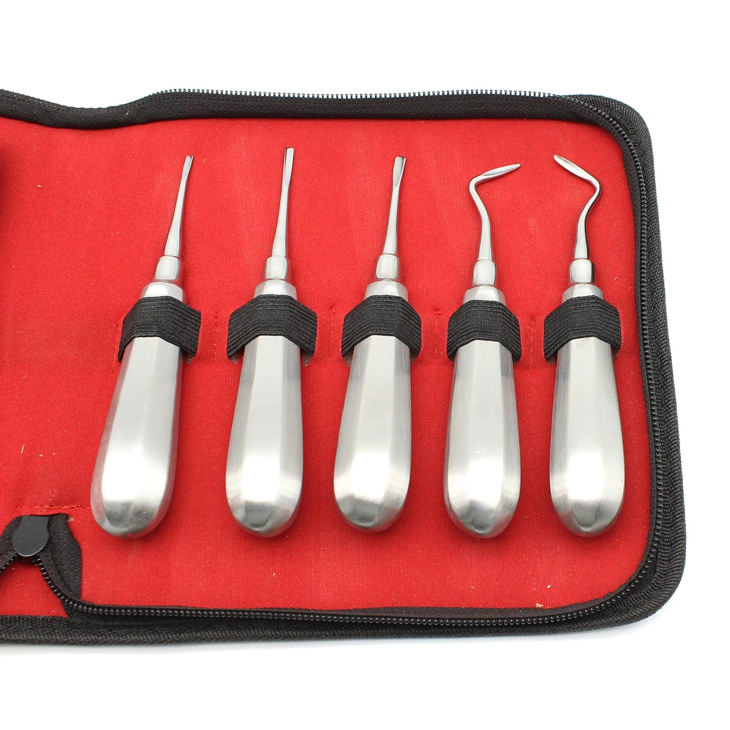 10pcs Dental Elevator Set &ndash; Stainless Steel Curved Root Lift