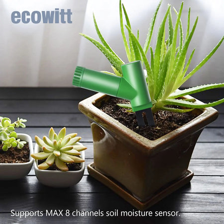 ECOWITT WH51 Wireless Soil Moisture Sensor for Smart Gardening