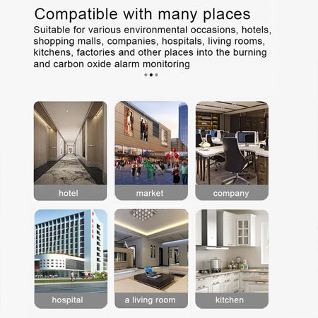 Tuya Gas Leak CO Detector WiFi &ndash; Smart Home Alarm Sensor