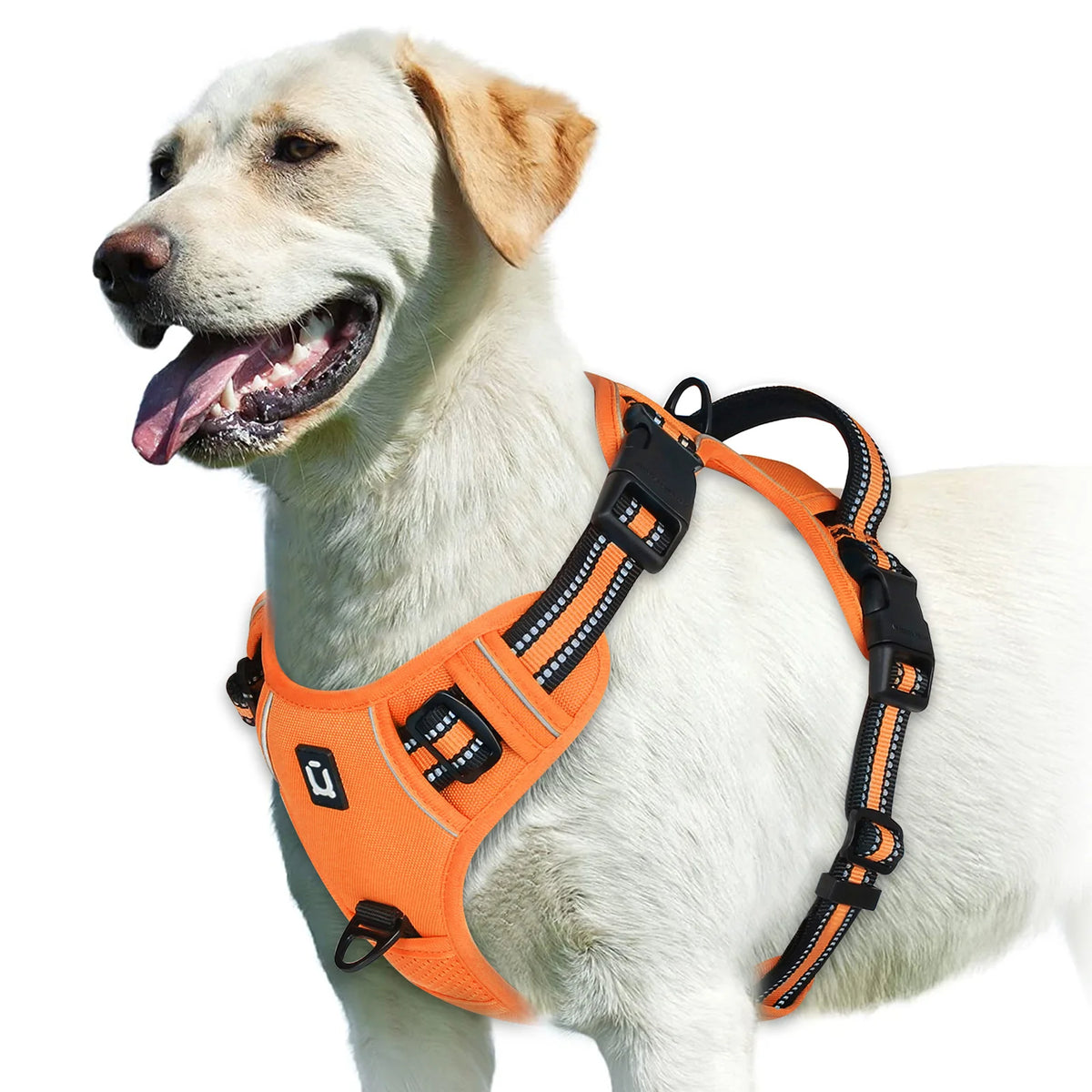 No Pull Dog Harness &ndash; Soft Padded Vest With Easy Control