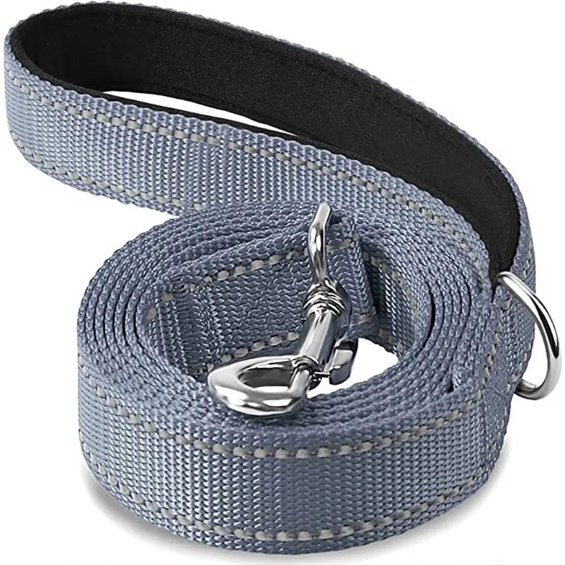 Durable Night Reflective Pet Leash and Harness for Dogs