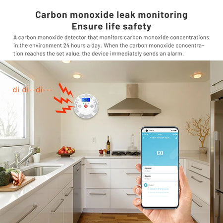 Tuya Smart WiFi CO Detector &ndash; Real Time Monitoring