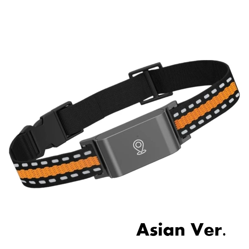 4G GPS Pet Dog Tracker Collar &ndash; Real Time Tracking App Asian Ver.