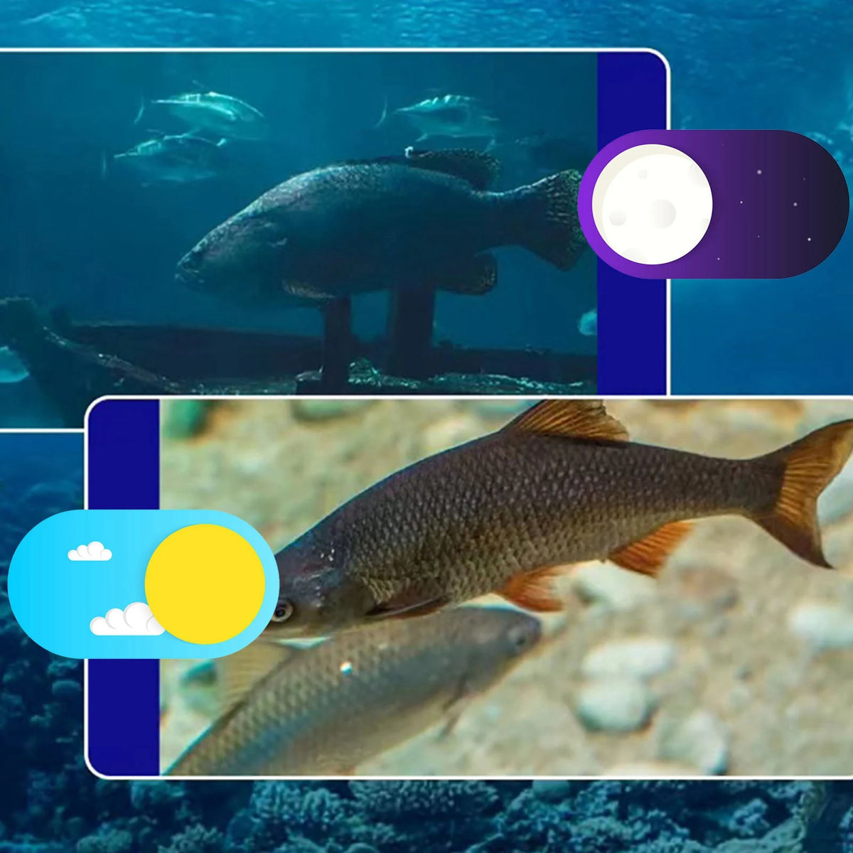 Fish Finder 4.3in TN HD &ndash; High Definition Underwater Vision